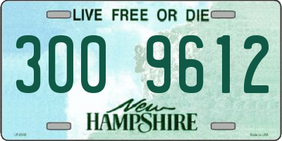 NH license plate 3009612