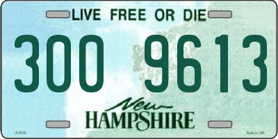NH license plate 3009613