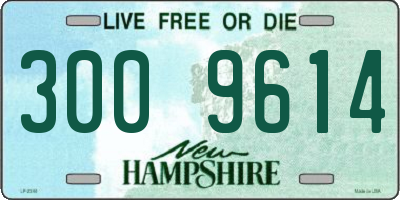 NH license plate 3009614