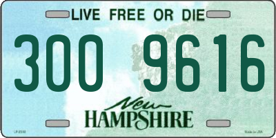 NH license plate 3009616