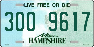 NH license plate 3009617
