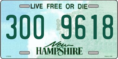 NH license plate 3009618