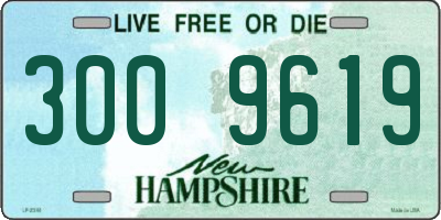 NH license plate 3009619