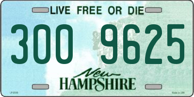 NH license plate 3009625