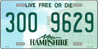 NH license plate 3009629