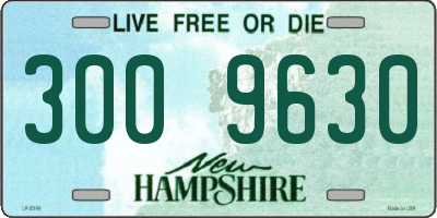 NH license plate 3009630
