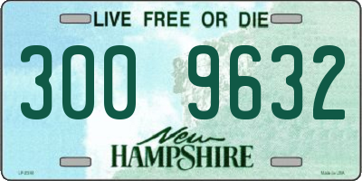NH license plate 3009632