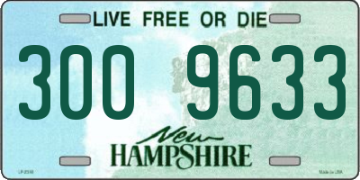 NH license plate 3009633