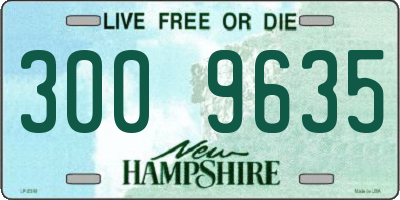 NH license plate 3009635