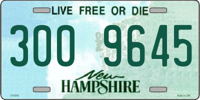NH license plate 3009645