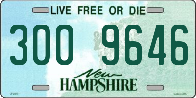 NH license plate 3009646