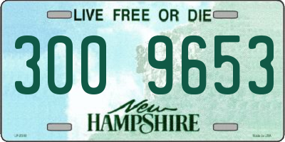 NH license plate 3009653