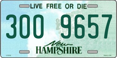 NH license plate 3009657