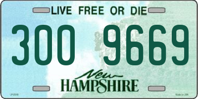 NH license plate 3009669