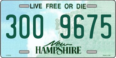 NH license plate 3009675