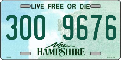 NH license plate 3009676