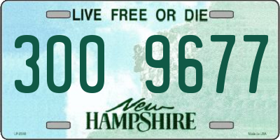 NH license plate 3009677