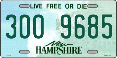 NH license plate 3009685