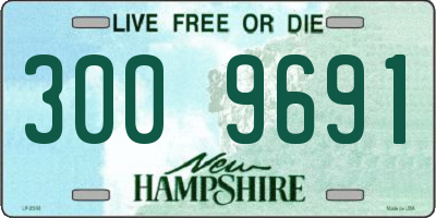 NH license plate 3009691