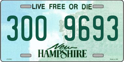 NH license plate 3009693