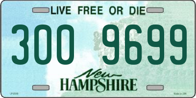 NH license plate 3009699