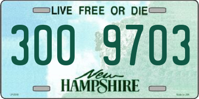 NH license plate 3009703