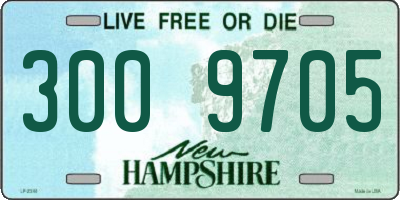NH license plate 3009705