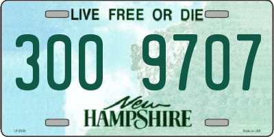 NH license plate 3009707