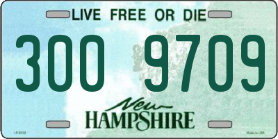 NH license plate 3009709
