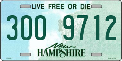 NH license plate 3009712