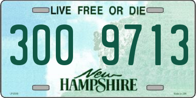 NH license plate 3009713