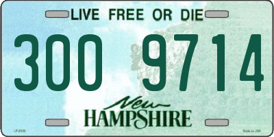 NH license plate 3009714