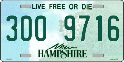 NH license plate 3009716