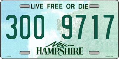 NH license plate 3009717