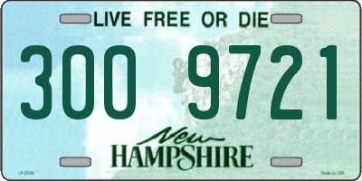 NH license plate 3009721