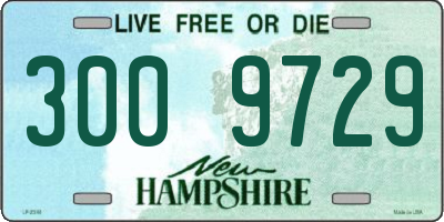 NH license plate 3009729