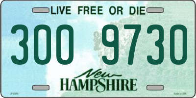 NH license plate 3009730