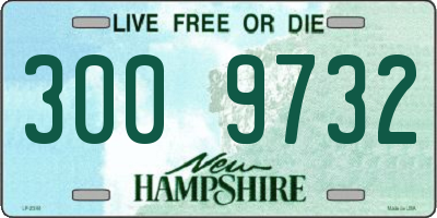 NH license plate 3009732