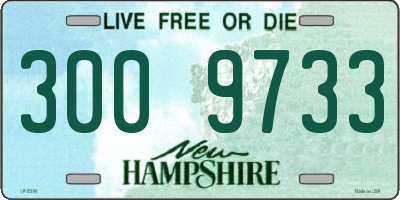 NH license plate 3009733