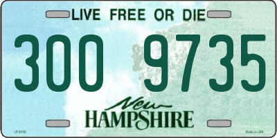 NH license plate 3009735
