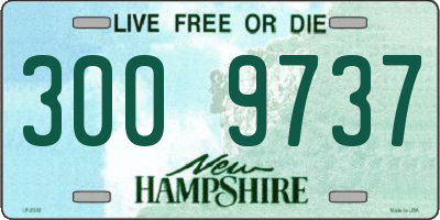 NH license plate 3009737