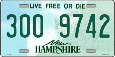 NH license plate 3009742