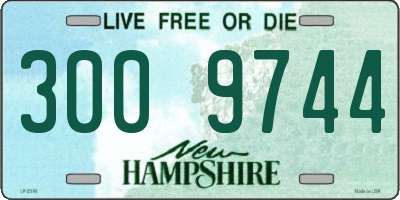 NH license plate 3009744