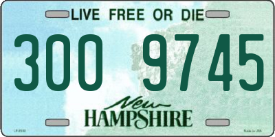 NH license plate 3009745
