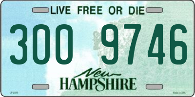 NH license plate 3009746