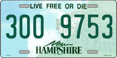 NH license plate 3009753