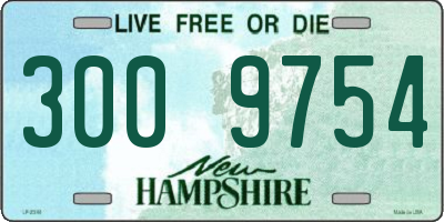 NH license plate 3009754