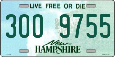 NH license plate 3009755