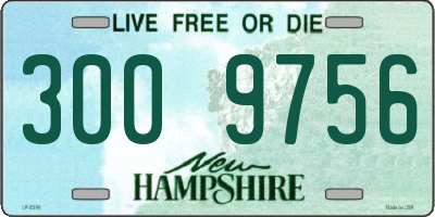 NH license plate 3009756