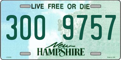 NH license plate 3009757